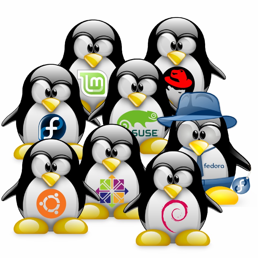 modifica contraseña administrador Windows usando Linux