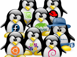 distribucion linux