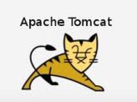 tomcat logo