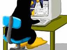 tux-achter-pc