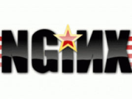 nginx_logo-300x206