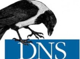 dns